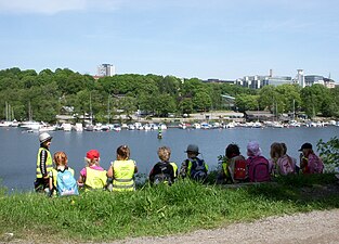 Paus vid Årstavikens södra sida