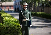 Guardia militare della FTEPL nel 2012