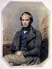 Three quarter length portrait of Darwin aged about 30, with straight brown hair receding from his high forehead and long side-whiskers, smiling quietly, in wide lapelled jacket, waistcoat and high collar with cravat.