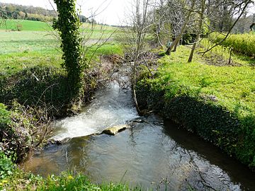 La Seyze en limite de Queyssac et Lamonzie-Montastruc.