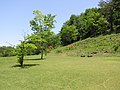 初夏の桜山公園