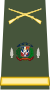 Lieutenant Colonel