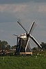 Edensermolen