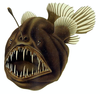 Humpback anglerfish