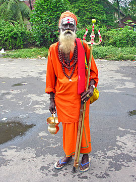 ’n Sadhu in Indië