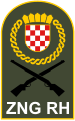 Logo of Croatian National Guard