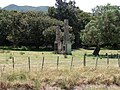 Pigeon Bush railway station 04.JPG