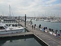 Photo du ponton du Vendée Globe à Port Olona