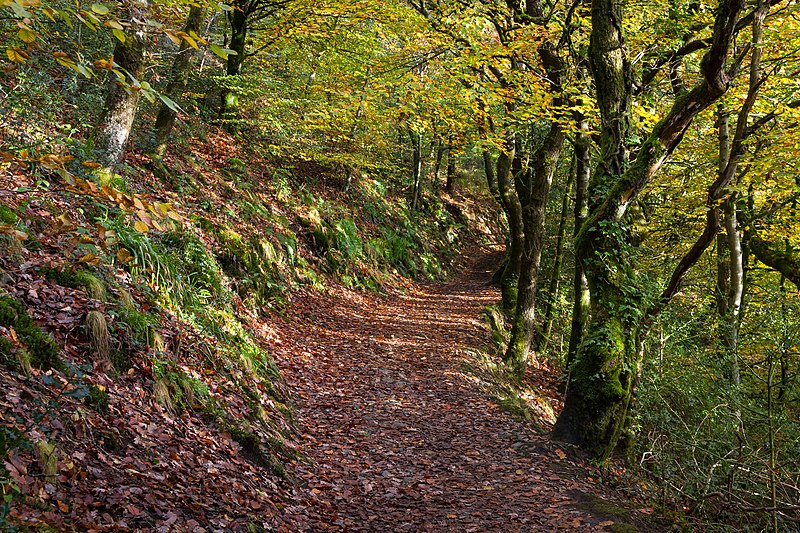 File:Ball Hill Footpath, Okehampton - panoramio.jpg