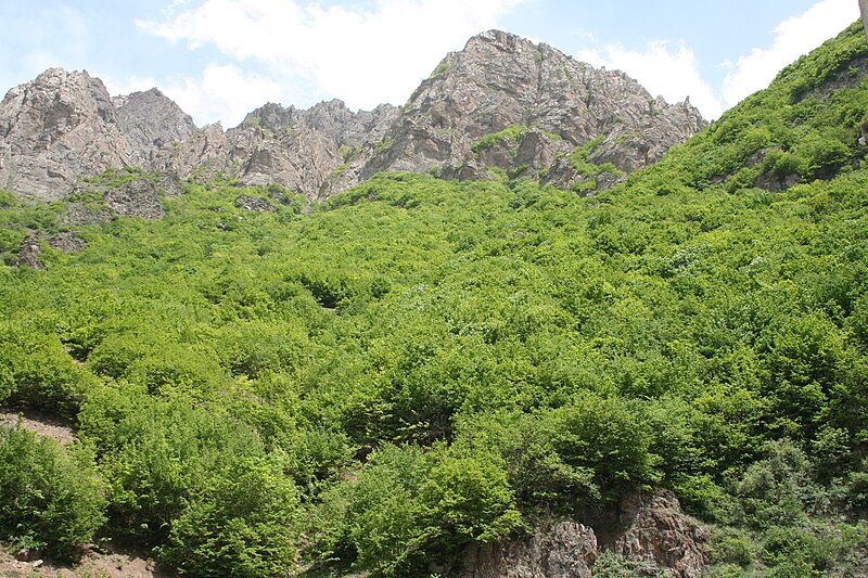 File:Chalus Road, Iran.jpg