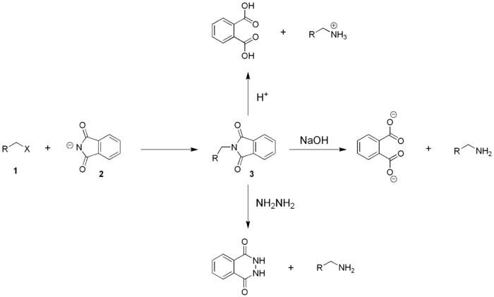 Gabrielsynthese