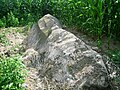 Menhir de la Pierre Saint-Martin.