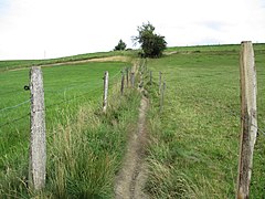 Neviges-Hardenberger Hügelland 07.jpg