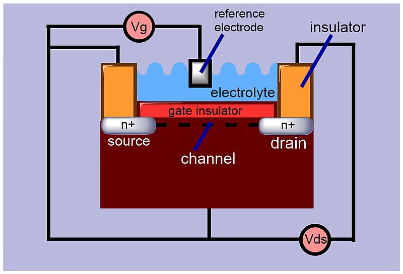 File:ISFET.jpg