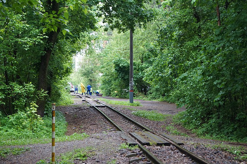 File:Kratovo children railway 2018-05-20 (28).jpg