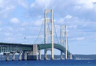 Mackinacbron