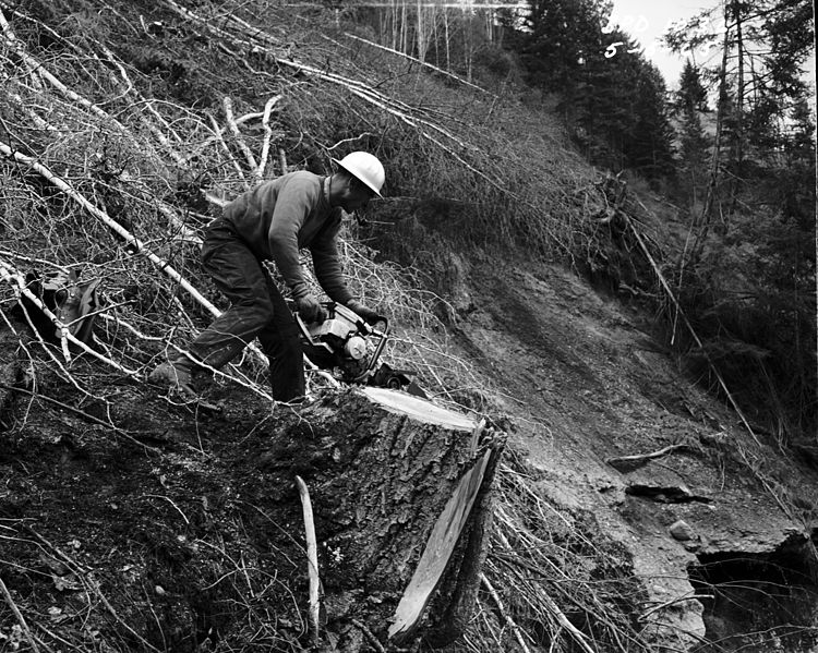 File:Logger working near Z Canyon, Washington, 1965.jpg