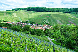 Skyline of Weinstadt