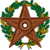 Орден Викиславы III степени