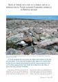 Article on reproduction; study area near Batsfjord, Varanger, arctic Norway (pdf paper)