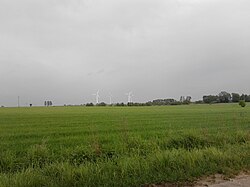 Wind mills in Gościmowice