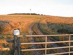 Hillside track by Cladich. - geograph.org.uk - 376100.jpg