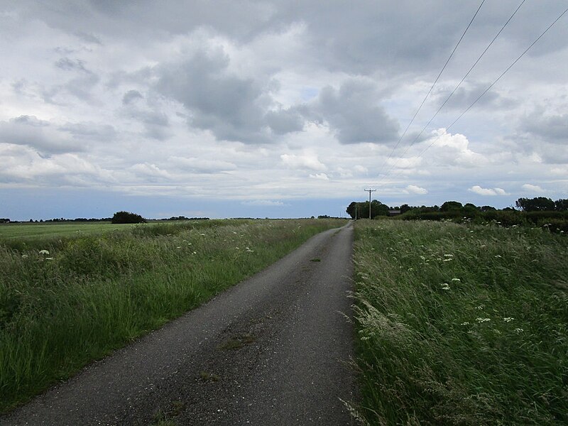 File:Horbling Fen Drove - geograph.org.uk - 6182980.jpg