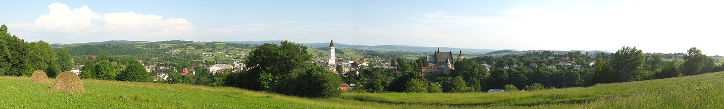 Stara część miasta widziana z Wapnisk