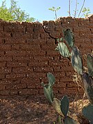 Adobe - Pared de adobe en Dolores Hidalgo, GTO.jpg