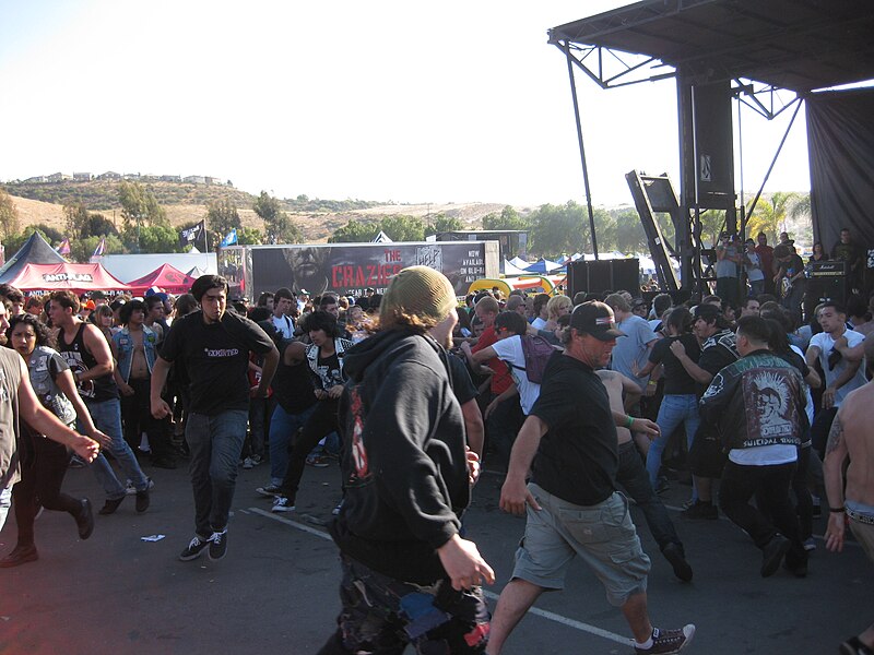 File:Warped Tour moshing 2010-08-10 02.jpg