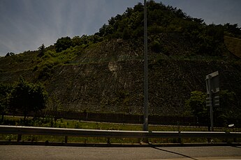 중앙고속도로 단양 나들목 남서측 진출로 절개사면에 드러난 막동 석회암층의 노두이다. 서쪽으로 약 75°기울어 있다.