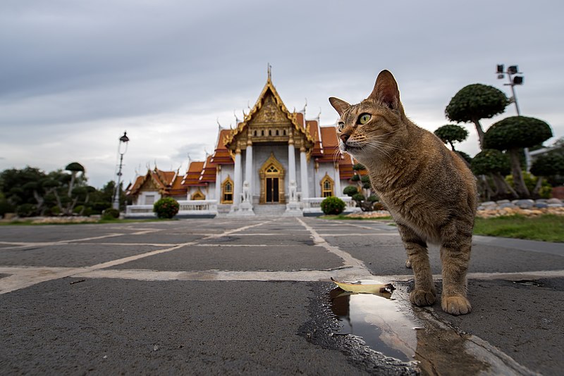 File:0006-Wat Benchamabophit.jpg