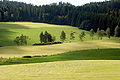 English: Pastures Deutsch: Weideland