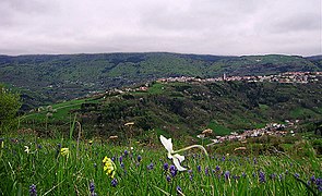 Vista su Conco e Gomarolo