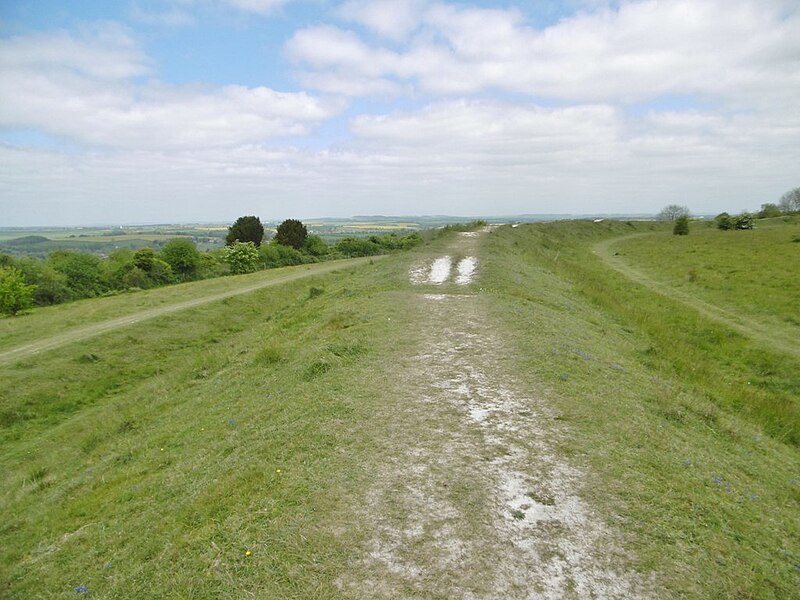 File:Figsbury, outer embankment - geograph.org.uk - 5383565.jpg