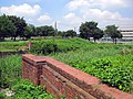 2012年8月13日 (月) 16:07時点における版のサムネイル