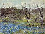 Early Spring—Bluebonnets and Mesquite, 1919