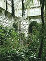 Inside Kew Gardens Palm House, London, England