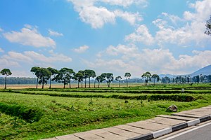 Landschaft im Distrikt Musanze in der Nordprovinz von Ruanda