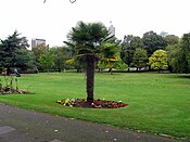 The upper part of the main park looking north from Coombe Cliff