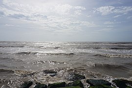 Galveston March 2022 28 (Gulf of Mexico).jpg