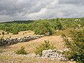 Paysage agricole.