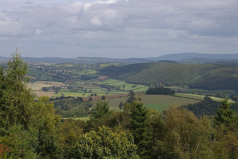 File:Bury Ditches MMB 02.jpg