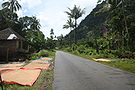 Rice (gabah) drying at the side of the road