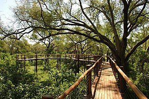 Plankstaproete in die park.