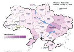 Sergei Tigipko (First round) – percentage of total national vote (13.06%)