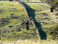 A dry stone wall at Mt Karinya near Moculta, South Australia.