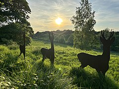 Metal deer sculpture at Fernbrae Meadows