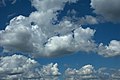 * Nomination Cumulus clouds in Russia --Knopik-som 01:33, 8 July 2021 (UTC) * Promotion  Support Good quality -- Johann Jaritz 02:49, 8 July 2021 (UTC)