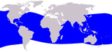 Aire de répartition du Cachalot nain